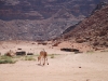 Wadi Rum